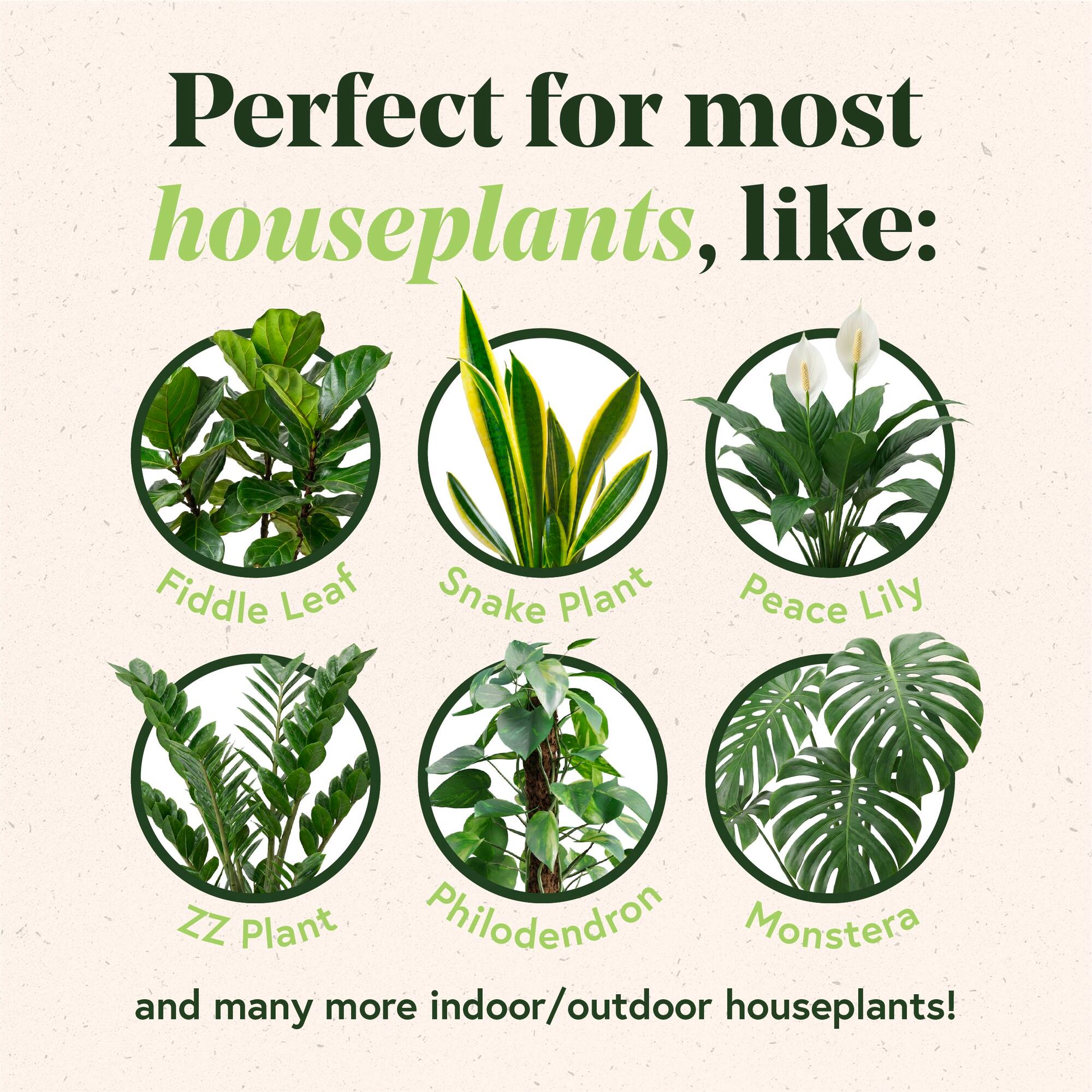 We The Wild™ 6qt. Just Great Soil Premium Organic Gnat-Resistant Potting Mix for Houseplants